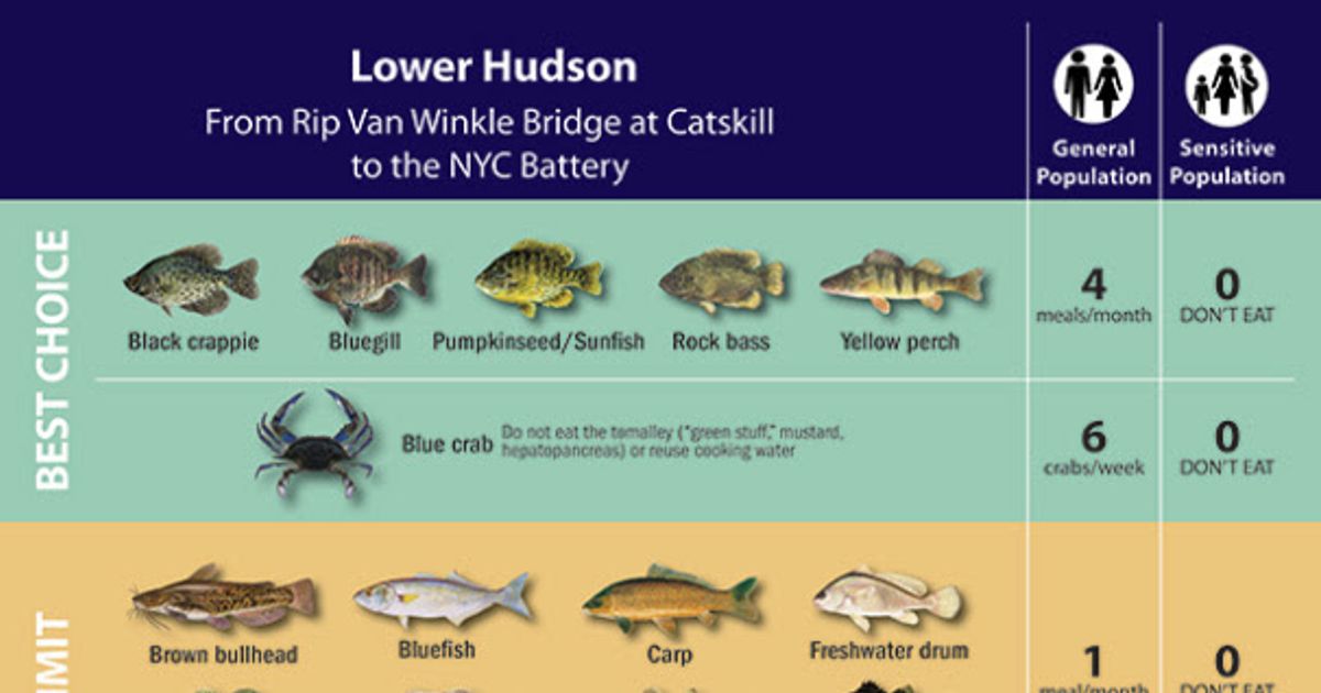 Fishing for feedback on PCBs signs