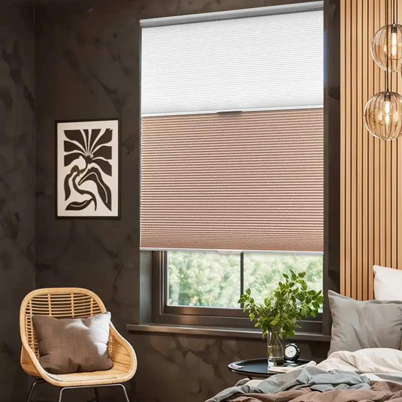 Roller Shade - Motorized Day & Night | ALY HOME
