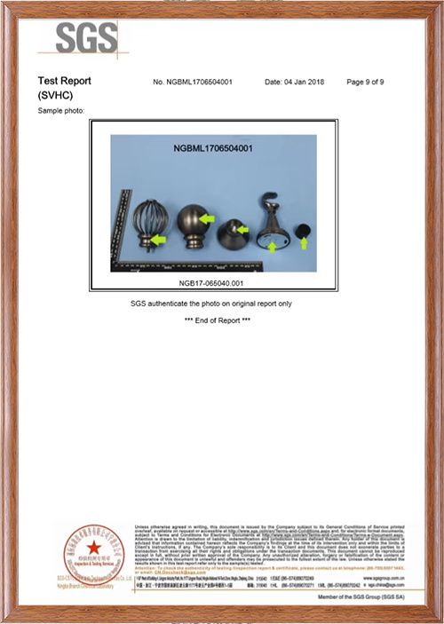 SGS SVHC Test Report