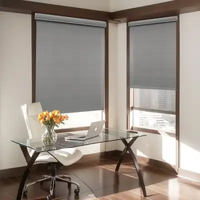 Roller Shade - Motorized Blackout | ALY HOME