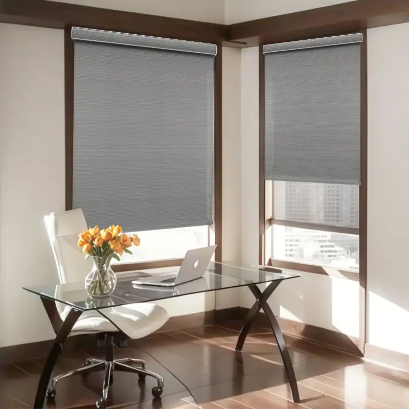 Roller Shade - Motorized Blackout | ALY HOME