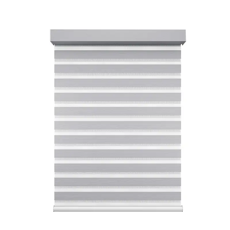 Zebra Shade - Motorized | ALY HOME