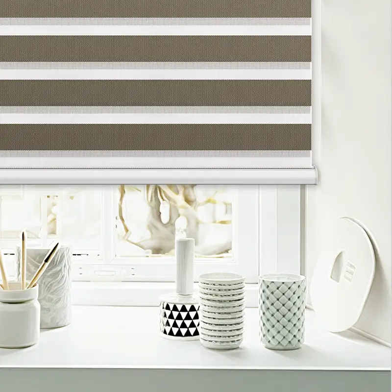Zebra Shade - Motorized Waterproof | ALY HOME