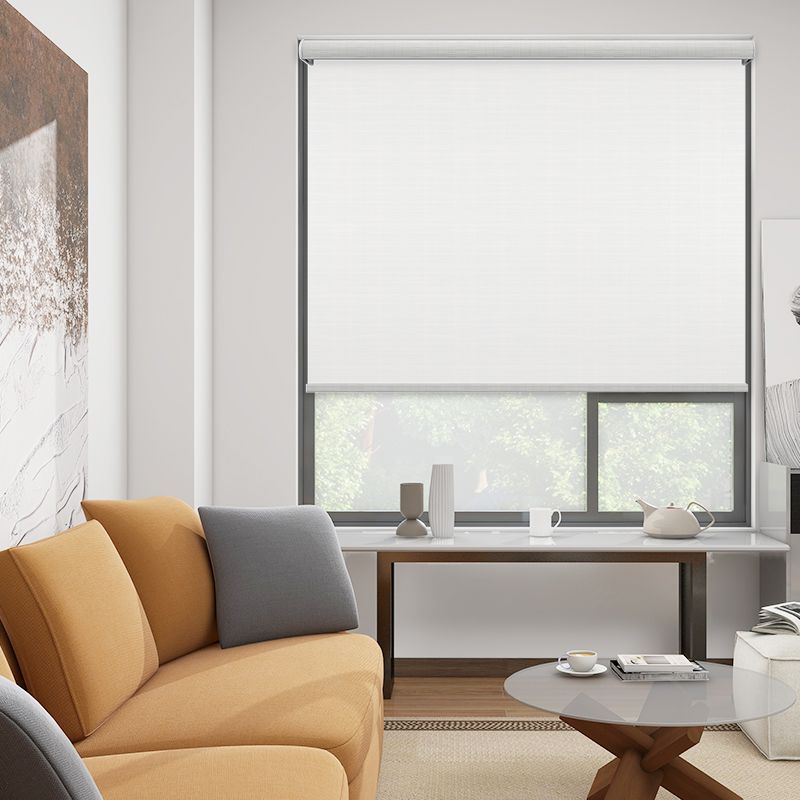 China Window Shade Supplier Light Filtering Wholesale Blinds