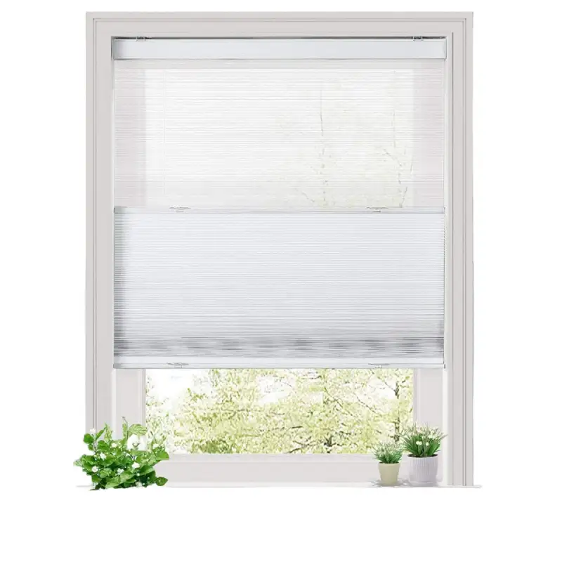 Cellular Shade - Motorized Blackout | ALY HOME