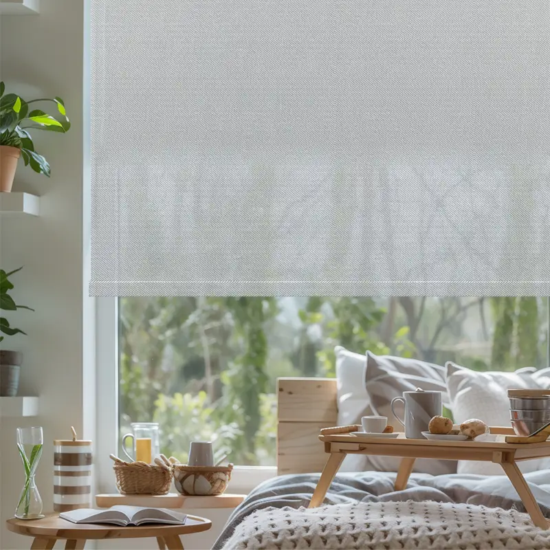Roller Shade - Automatic Blackout | ALY HOME