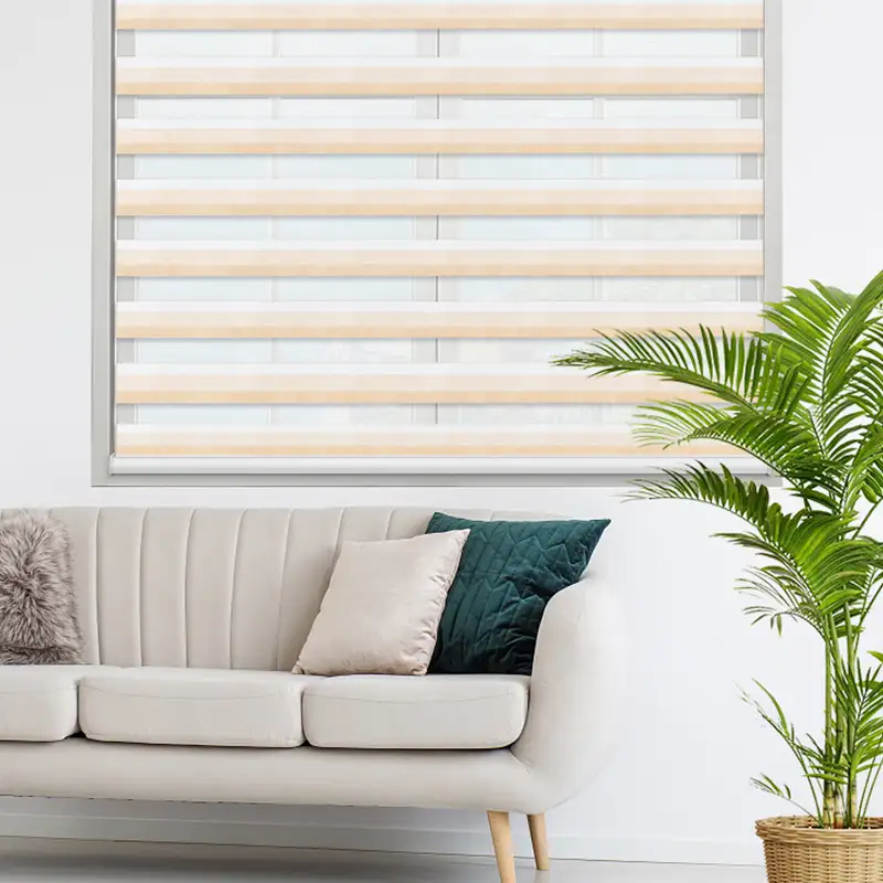 Zebra Shade - Motorized | ALY HOME