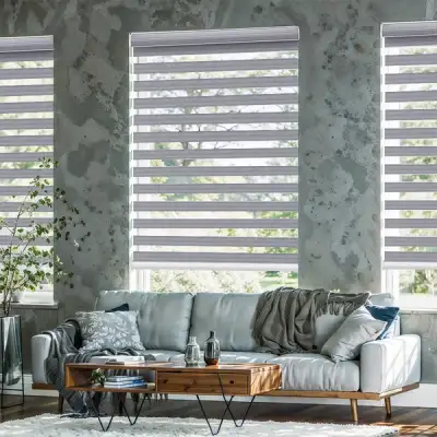 Roller Shade - Motorized Day & Night | ALY HOME