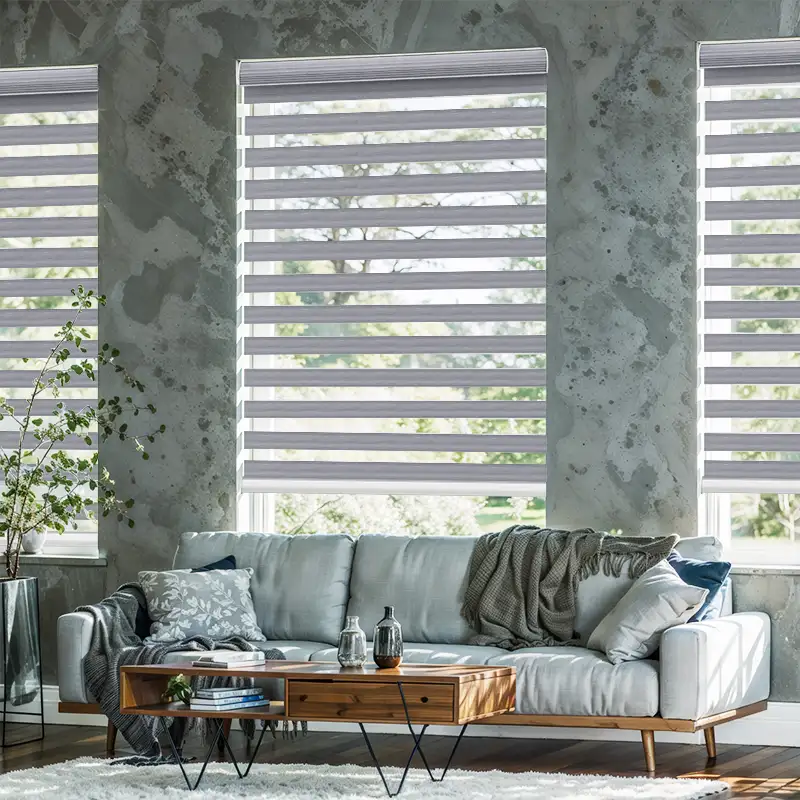 Roller Shade - Motorized Day & Night | ALY HOME
