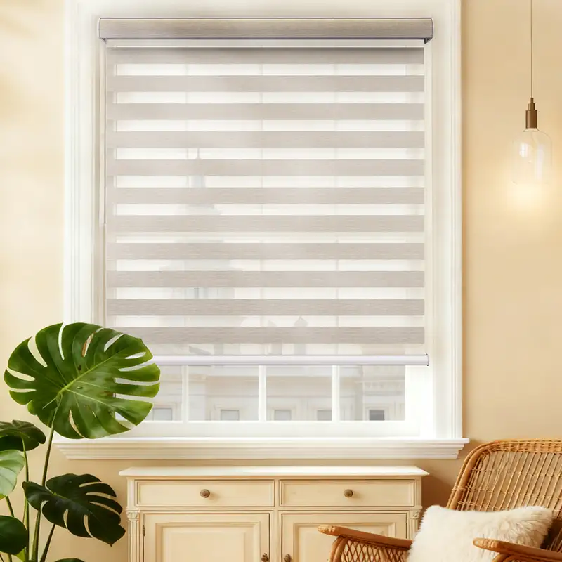 Single & Double Line Light Filtering Zebra Shade - Warm Beige installed view