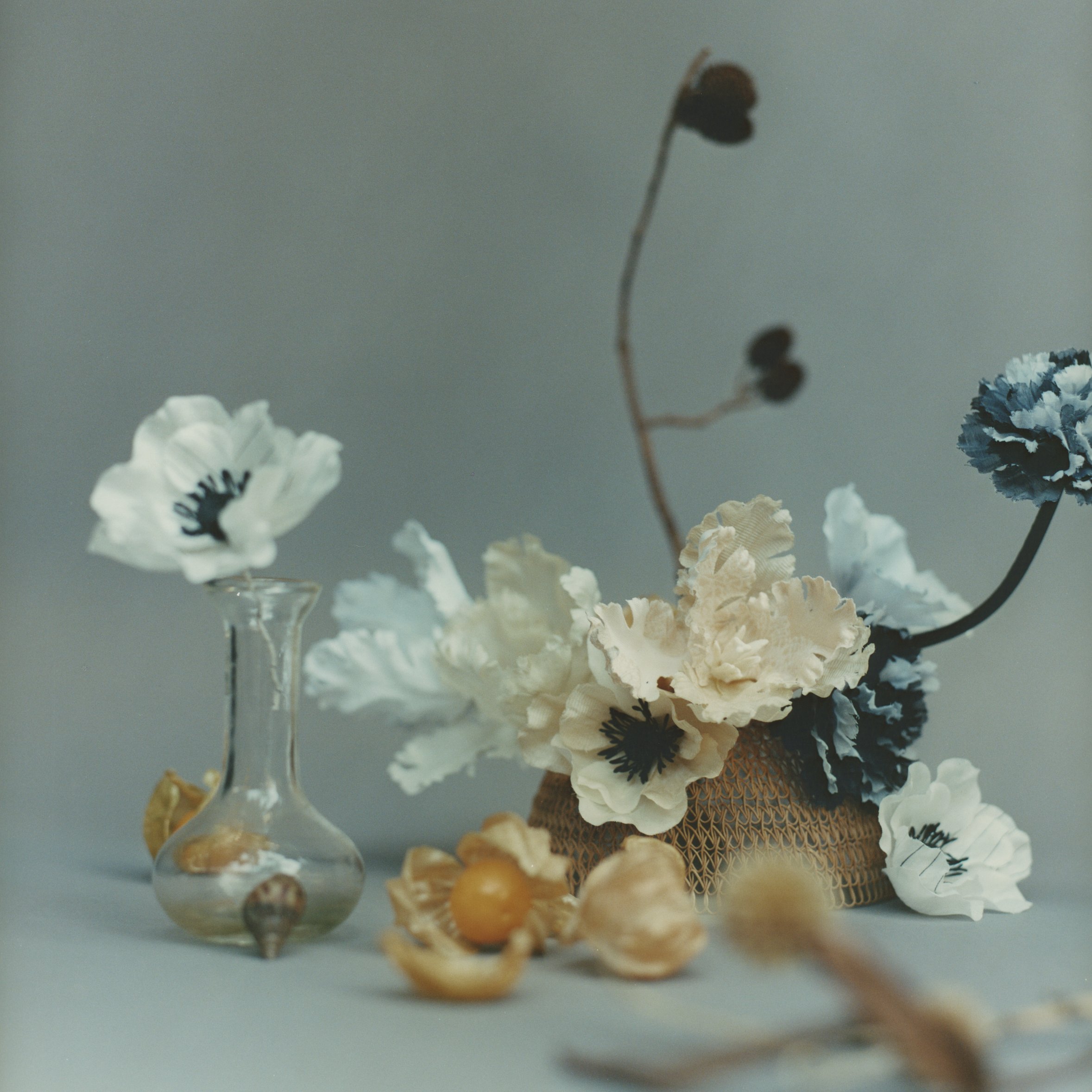 Photo of Studio Blooms: Shone Puipia x Permaflora