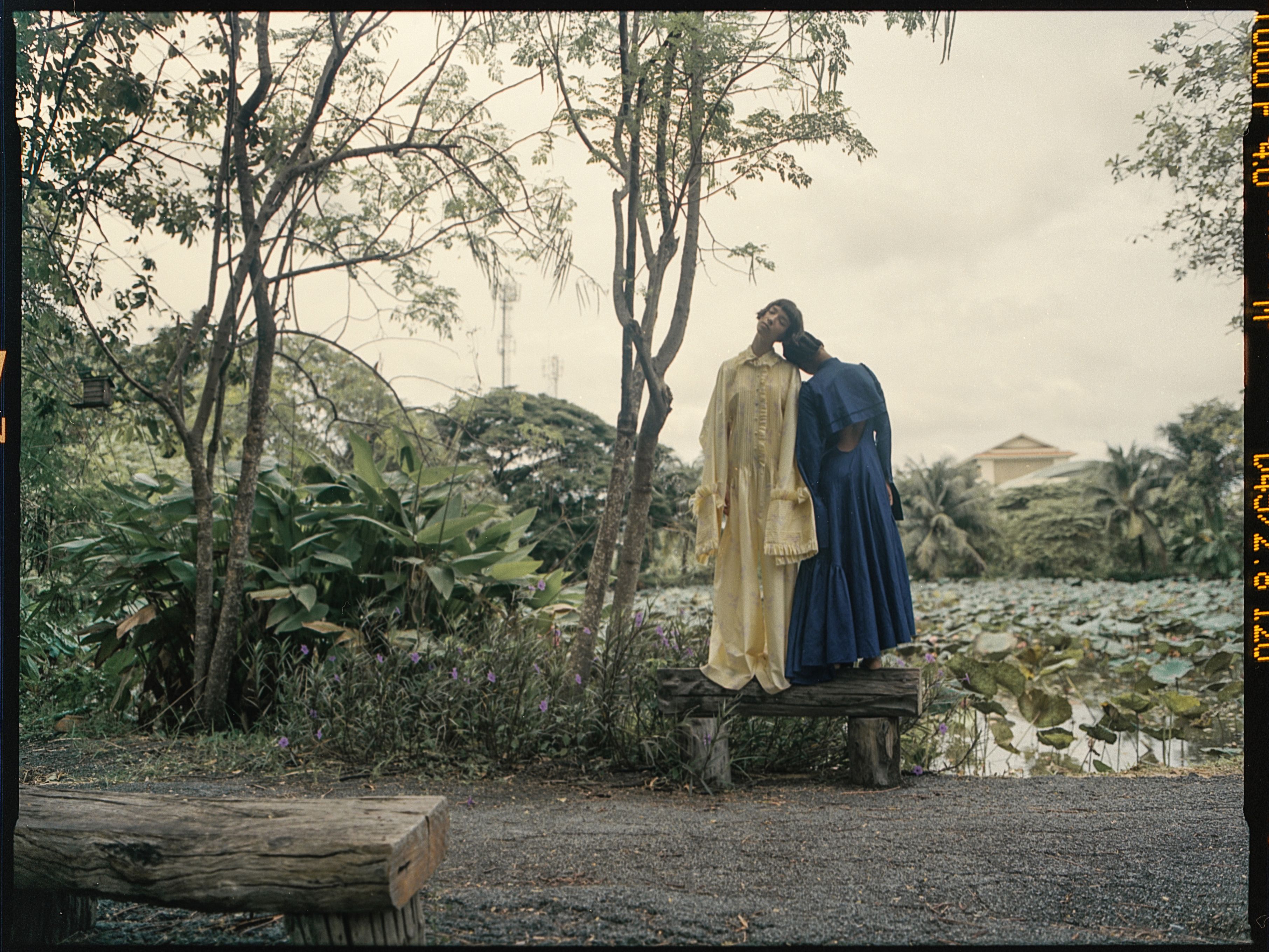 Image of Teeth Magazine