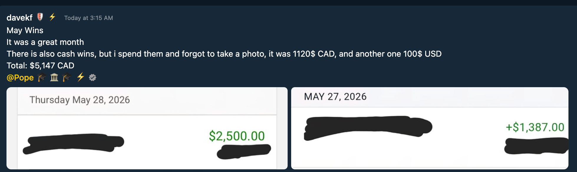 Testimonial Snapshot