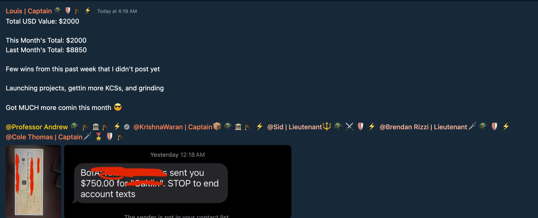 Testimonial Snapshot