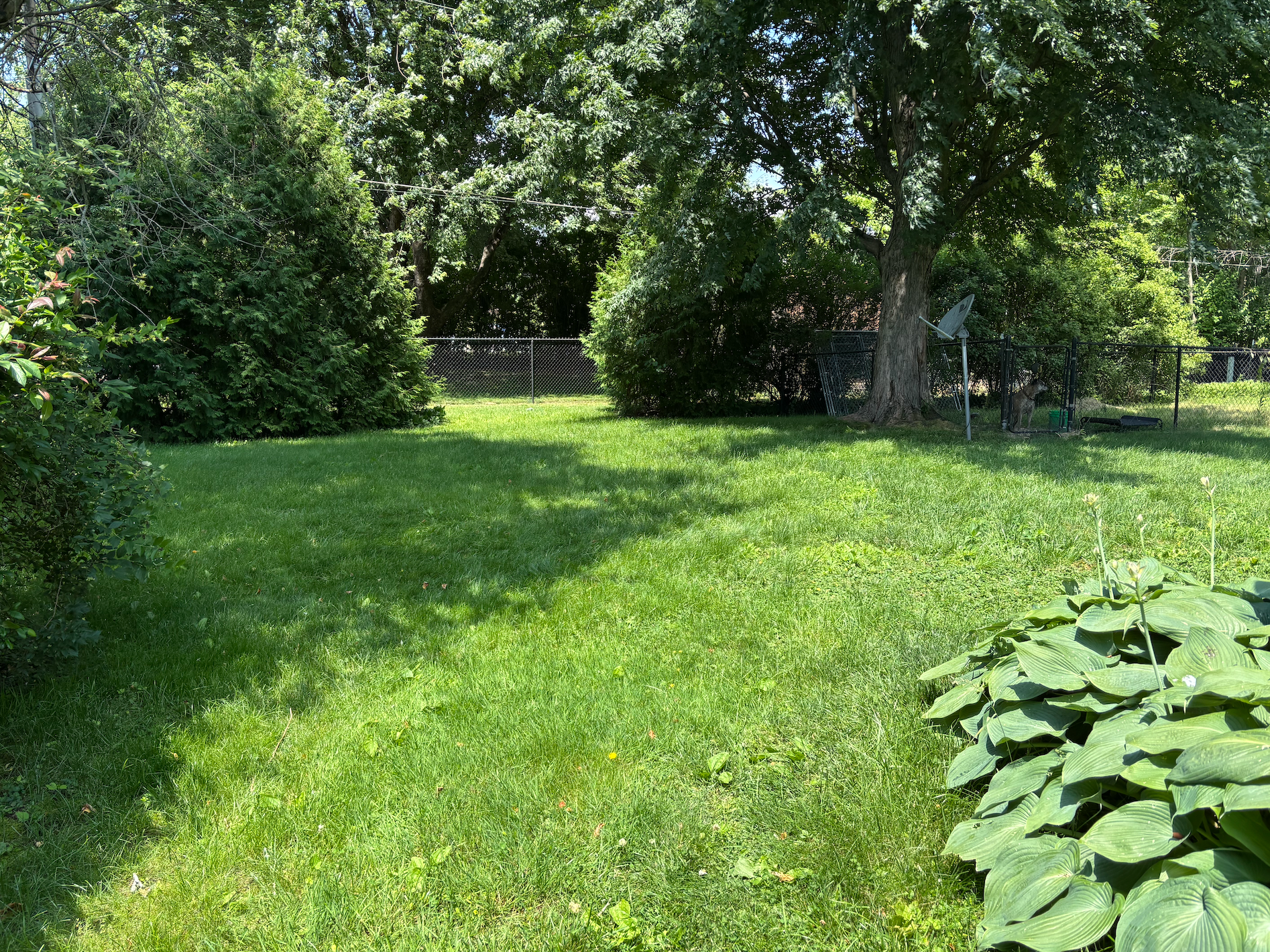 Center Grove: Single Family 3 Bedroom, 2.5 Bath Home - Coming 7/15/26