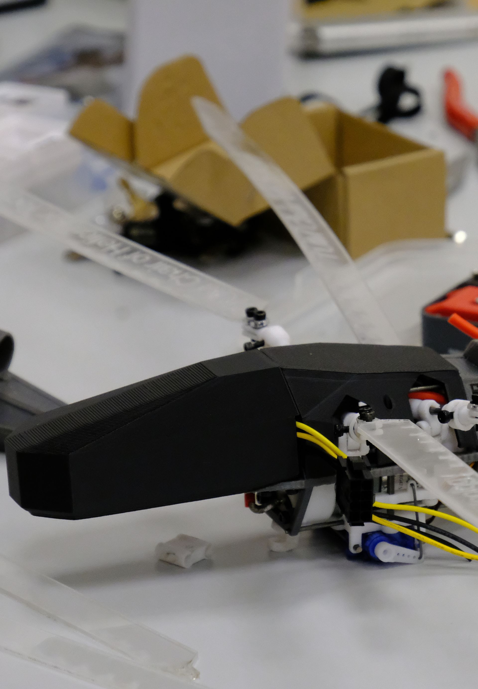 Odonatum hero background