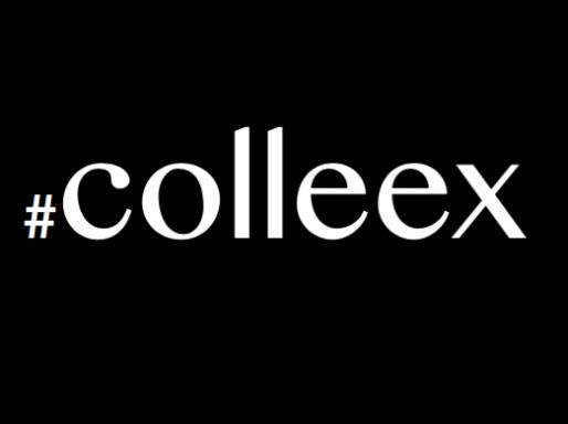 4th Colleex workshop, 16-19 Oct. Humboldt-Universität zu Berlin