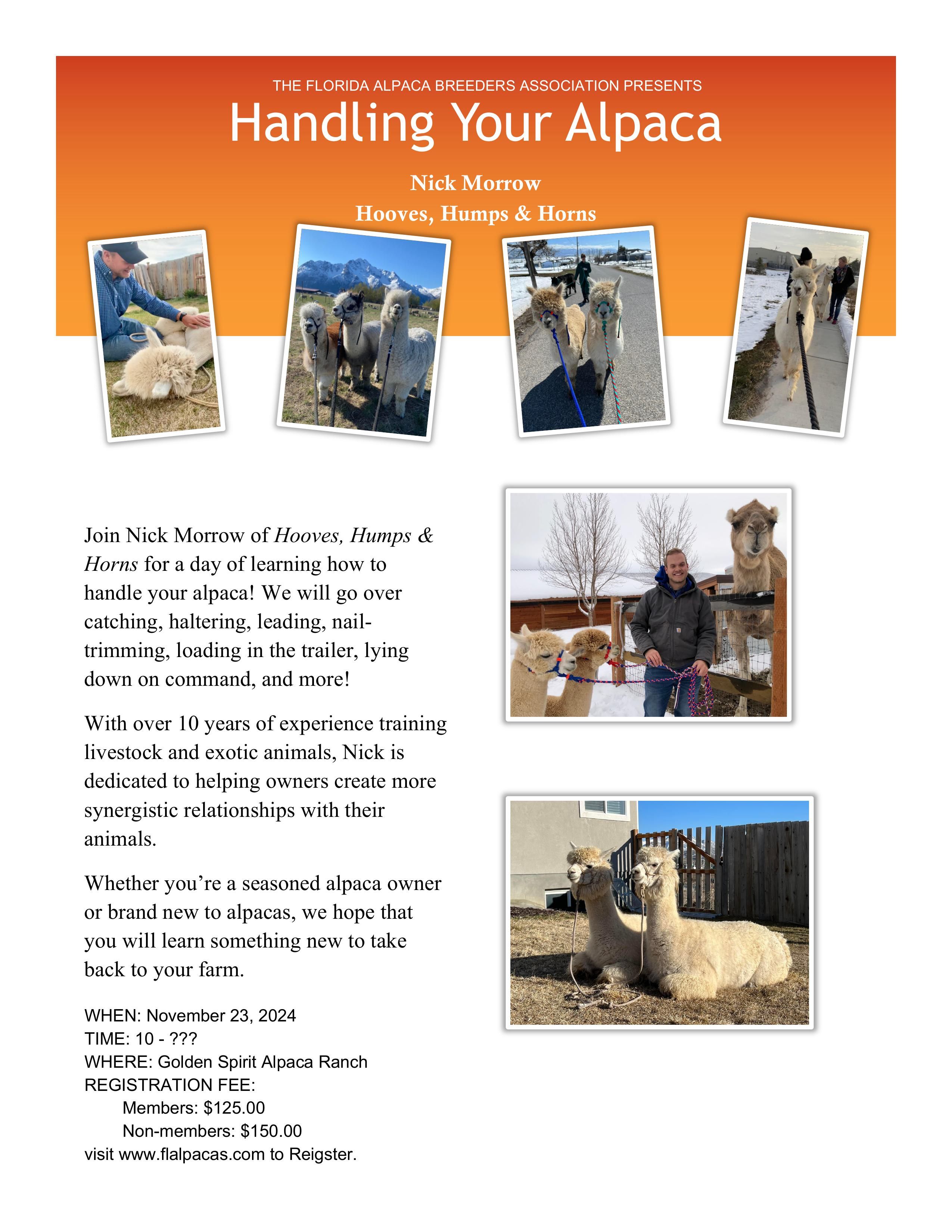 Cover image for ALPACA HANDLING with Nick Morrow