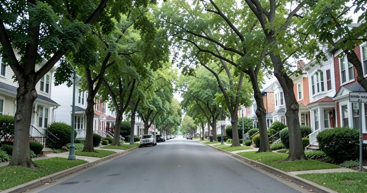 Tree-lined residential street of detached homes off Hillside Avenue in Hollis, Queens, NY