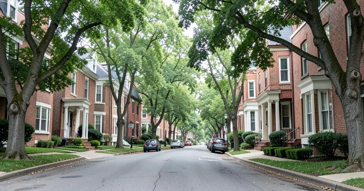 Brick Tudor and colonial homes on a tree-lined residential street in St. Albans, Queens, NY