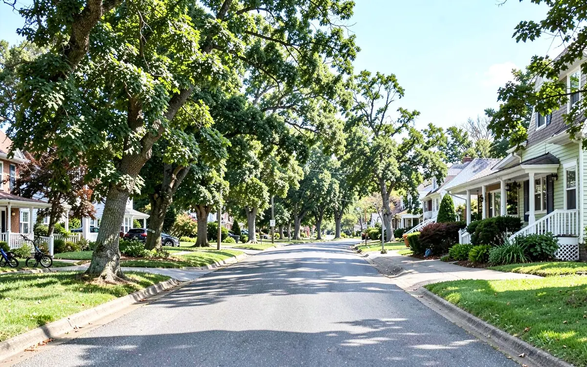 Suburban homes along a tree-lined street in Shirley, NY, Town of Brookhaven, Suffolk County
