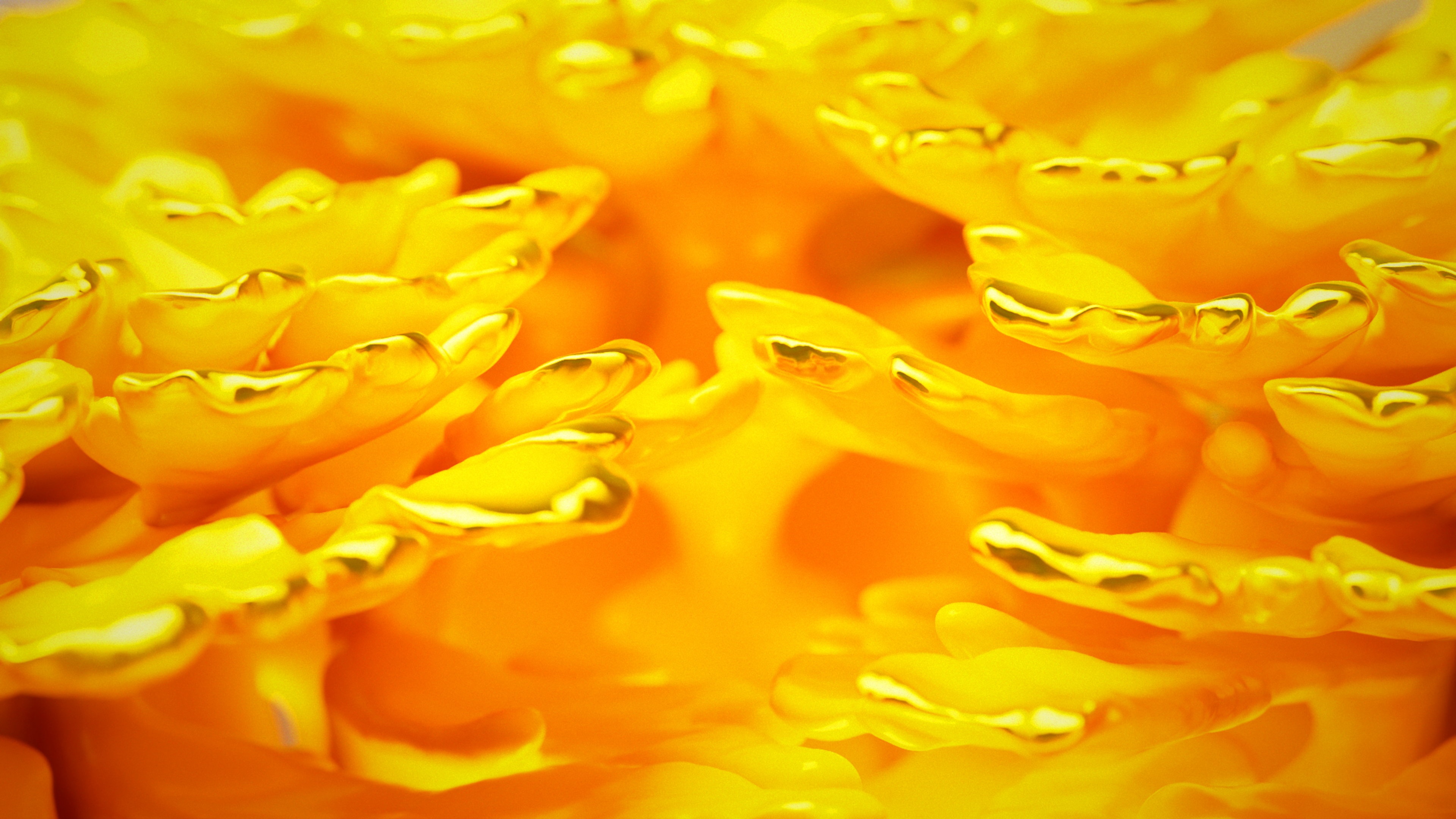 Yellow abstract forms