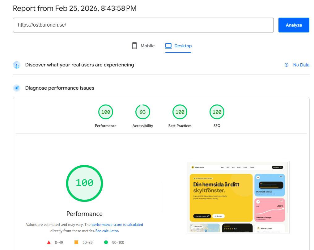 pagespeed insight test