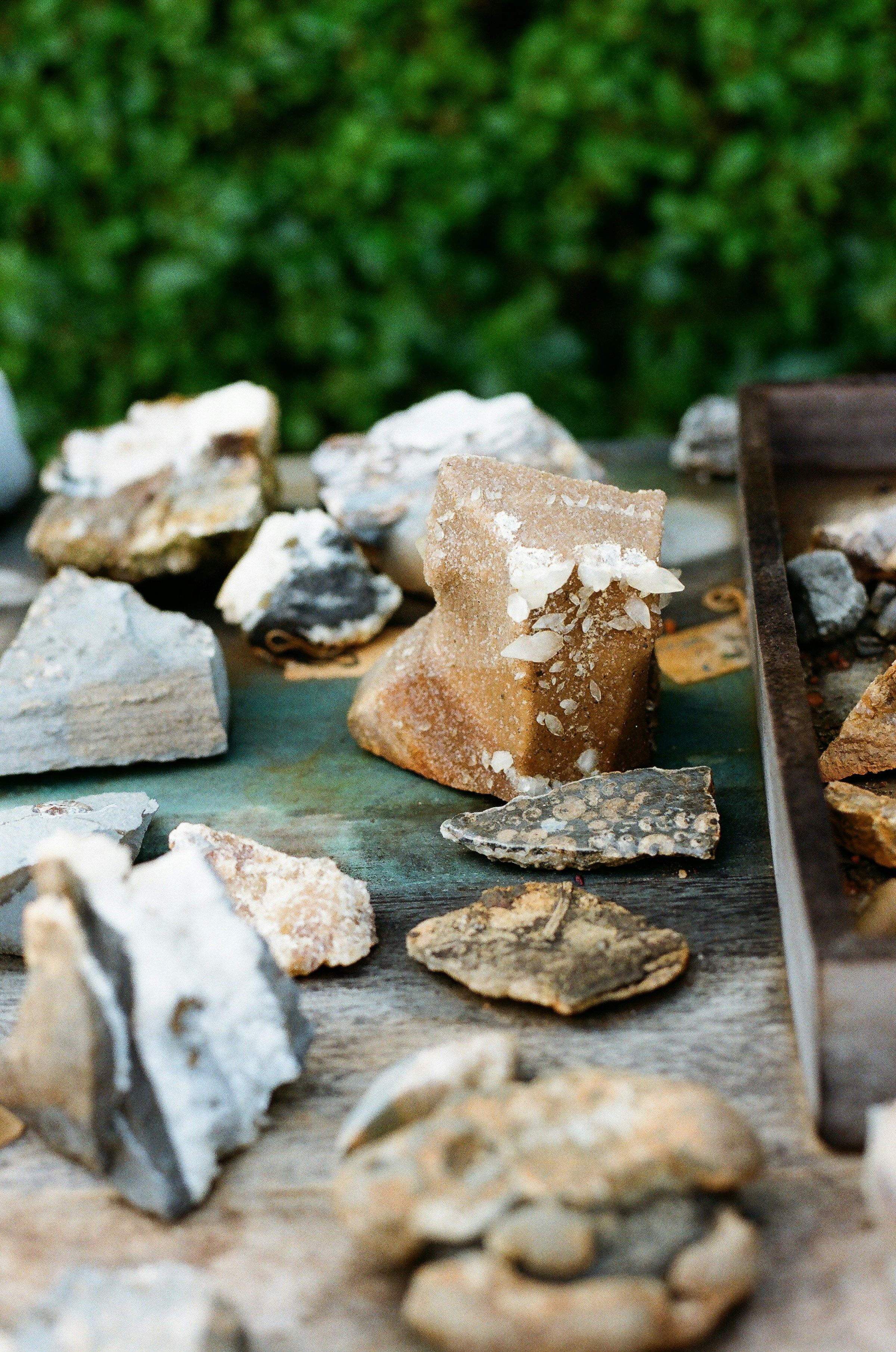 Assorted mineral specimens arranged for inspection