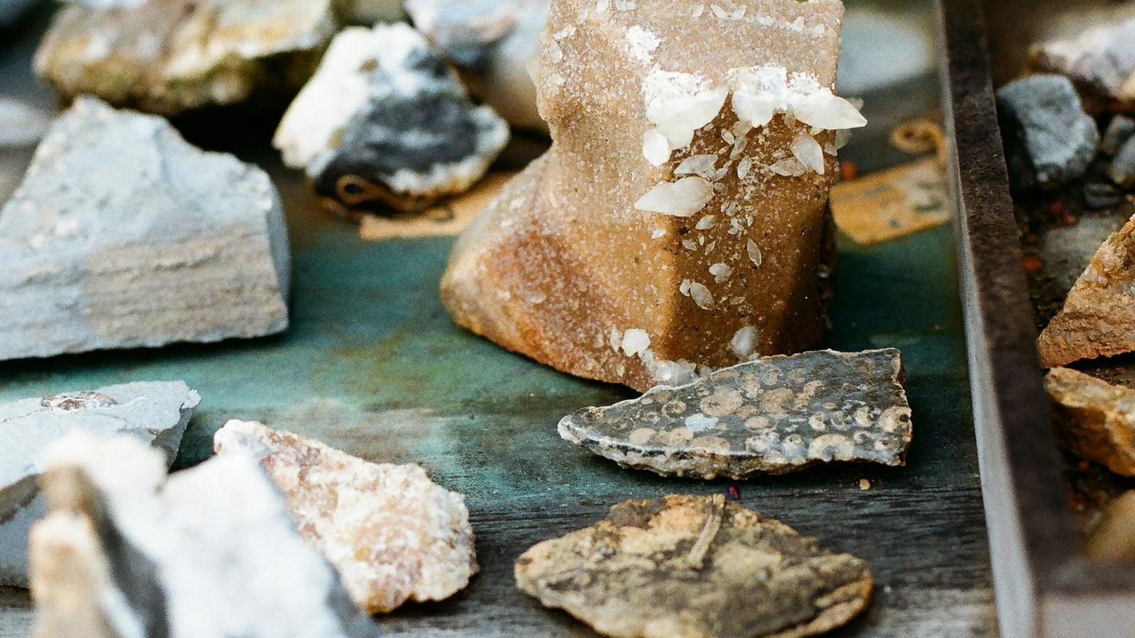 Assorted mineral specimens arranged for inspection