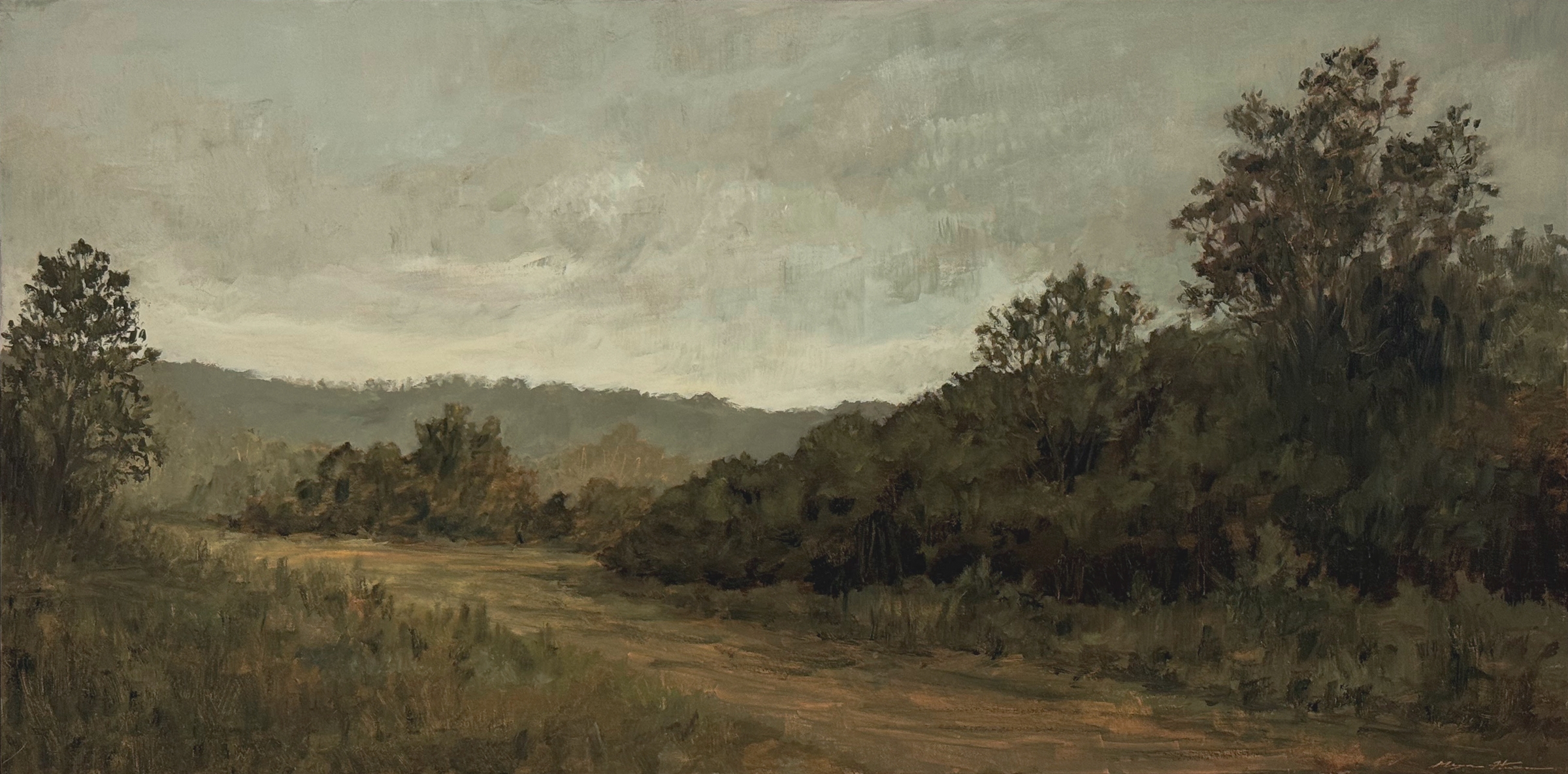 Hill Country Trails