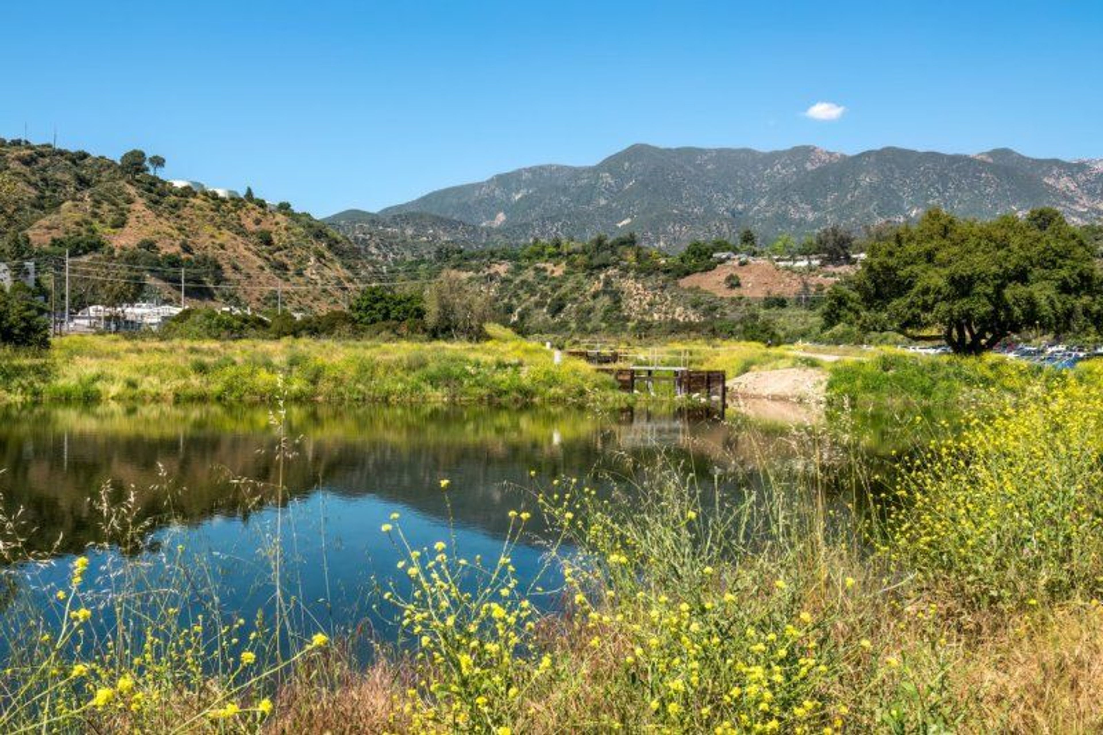 Hahamongna Watershed Park in Pasadena, CA.