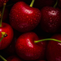 Tart Cherry