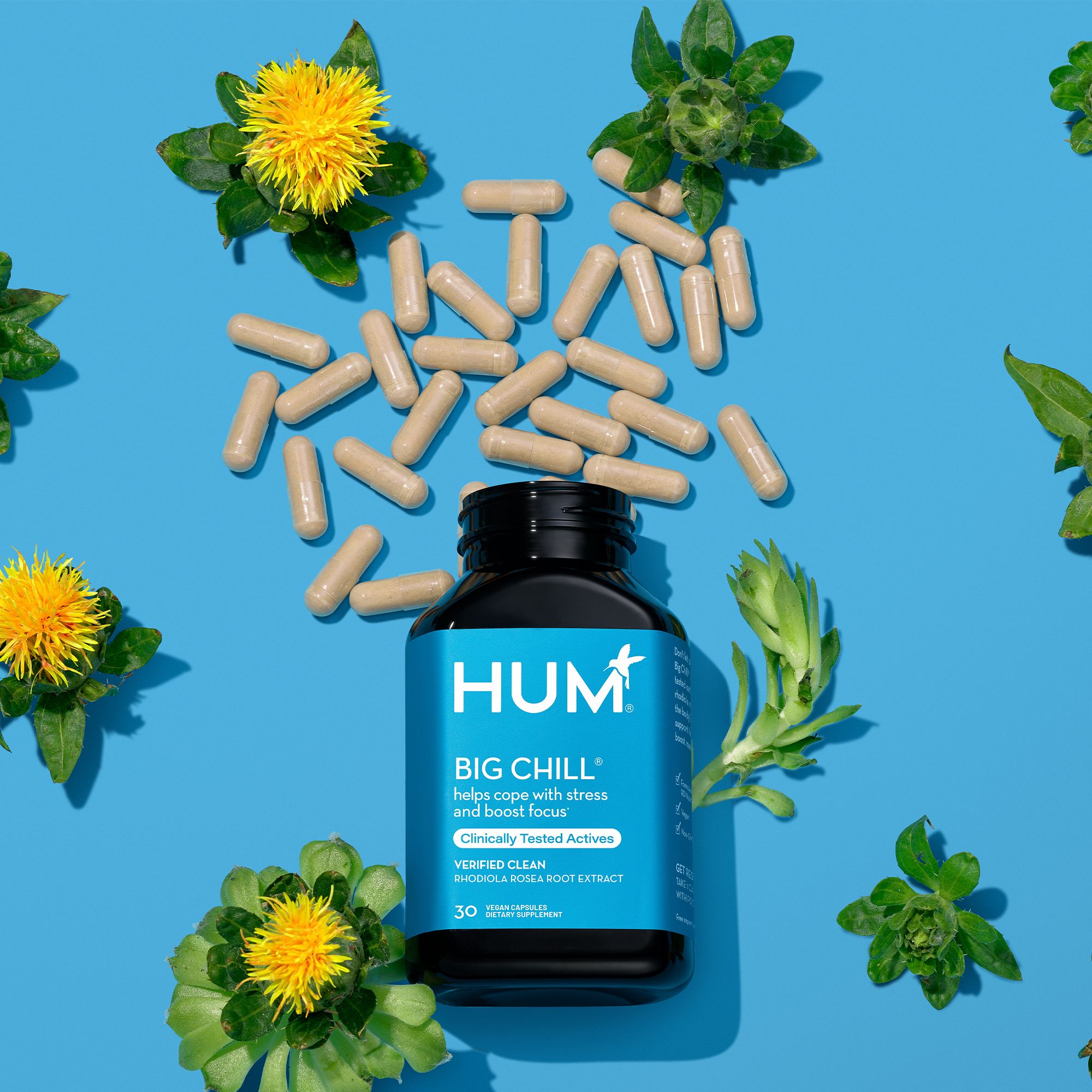 Big Chill | Vitamins for Stress - HUM Nutrition