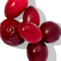 Cranberry