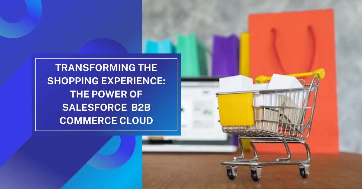 Transforming the Shopping Experience: The Power of Salesforce B2B Commerce Cloud