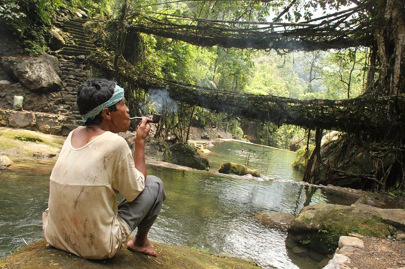 The Root Bridge Builders