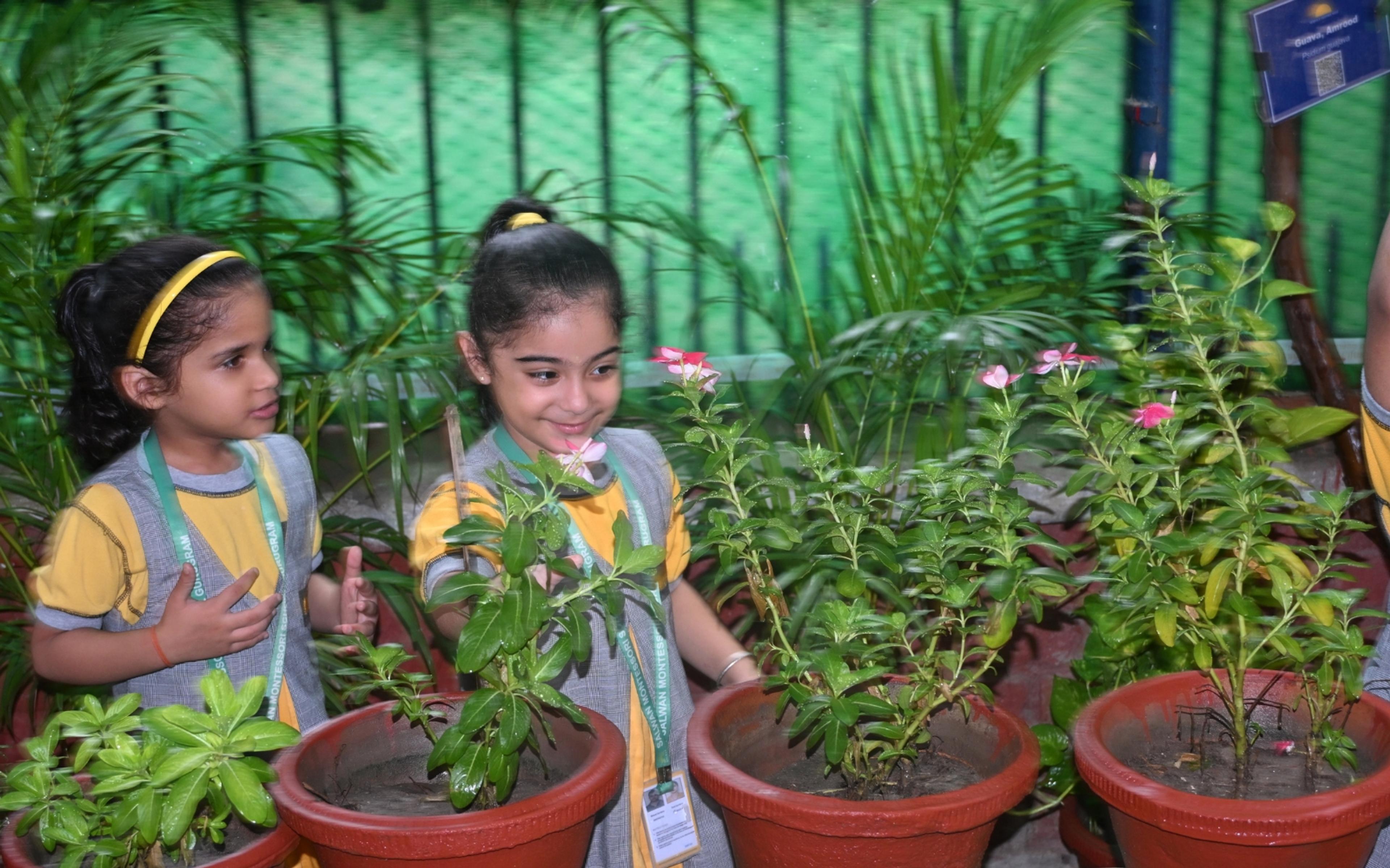 Two children caring for plants in the school garden