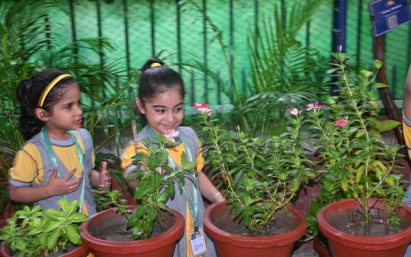 Two children caring for plants in the school garden
