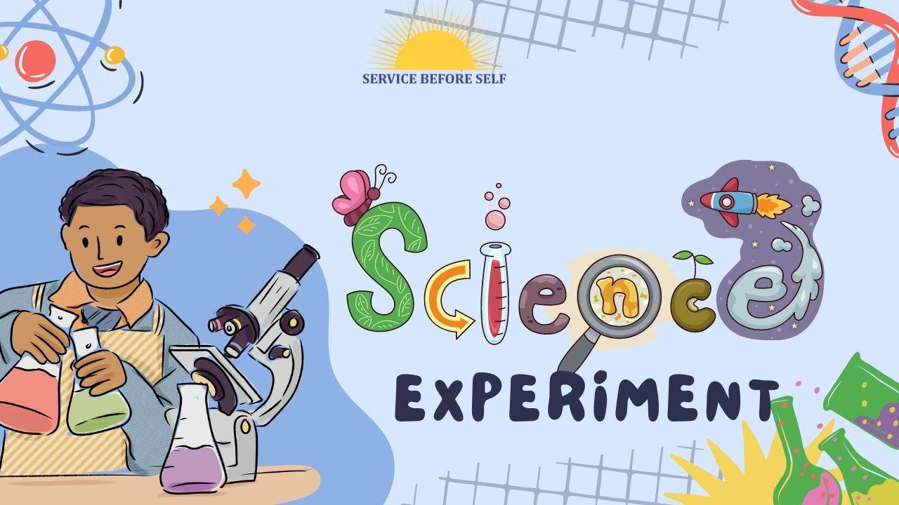Little Scientist at work