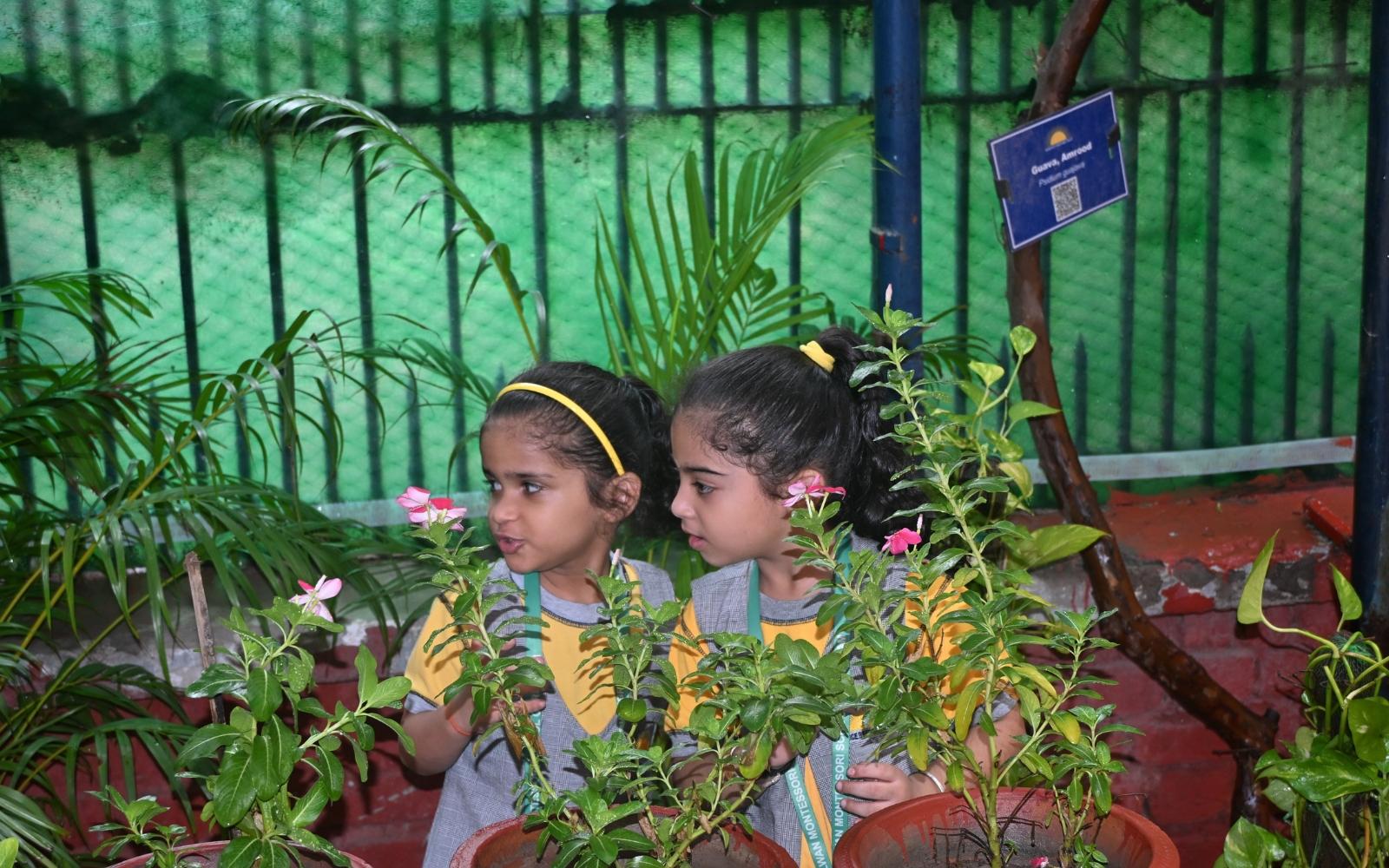 Two children observing plants in the school garden