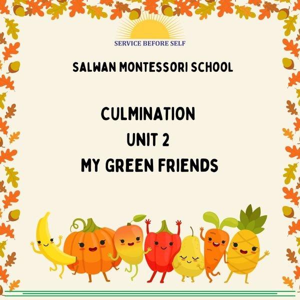 Culmination Activities