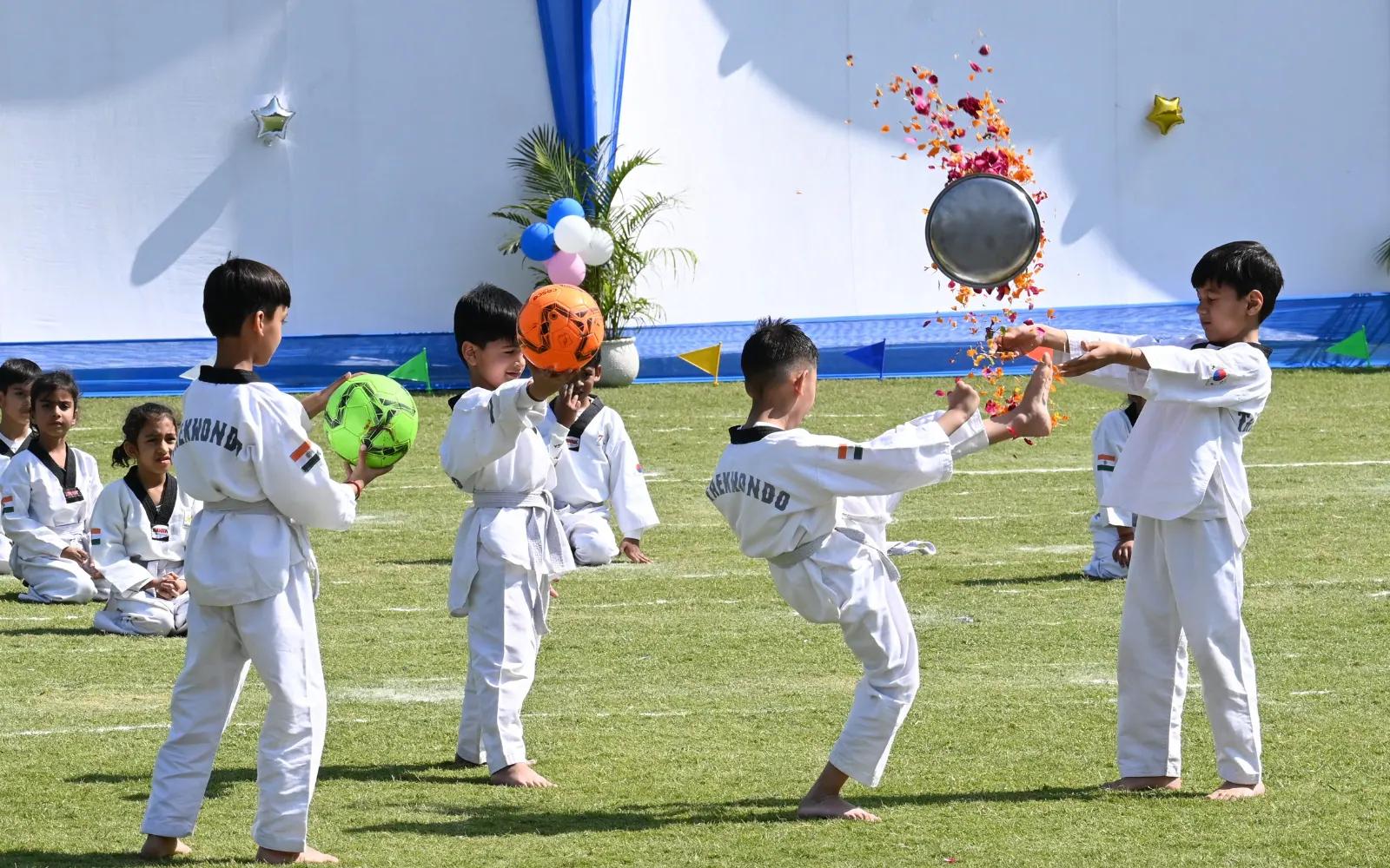 Taekwondo demonstration during sports day