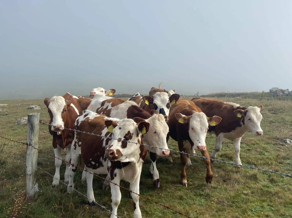 In St Davids with Retreats Group