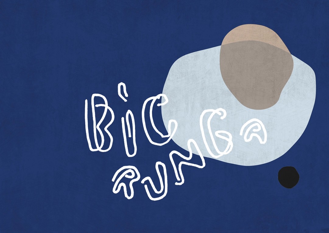 Artist in Residence Podcast: Bic Runga - Pantograph Punch