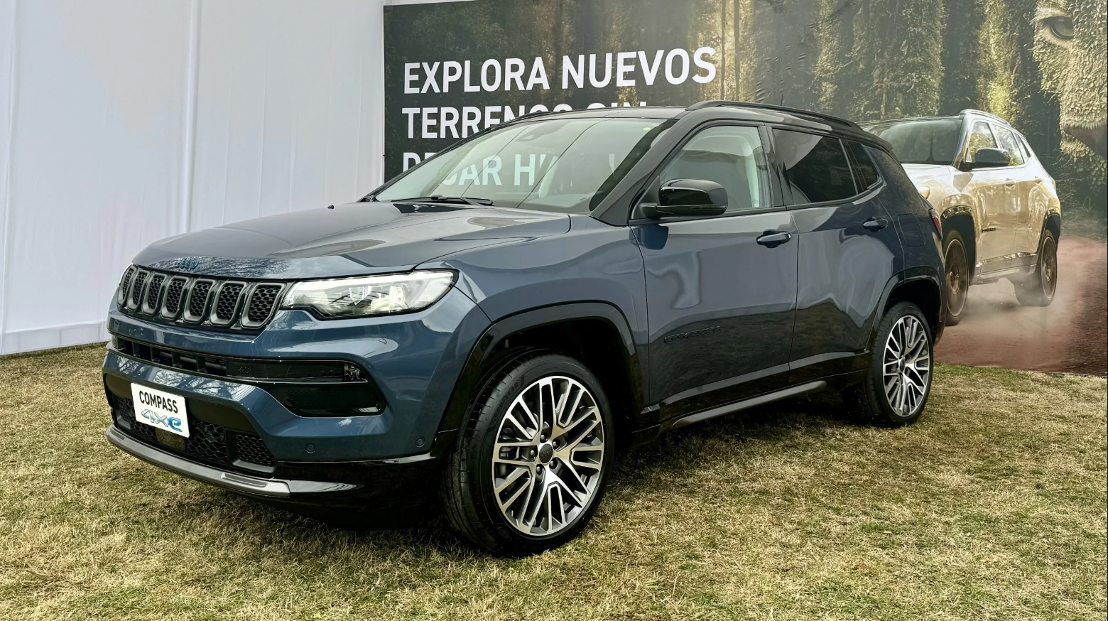 5 plazas de puro confort