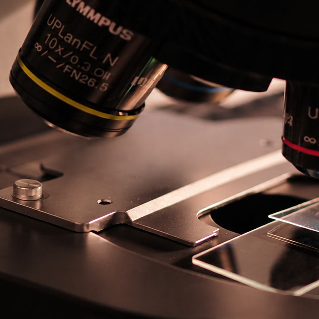 Microscope