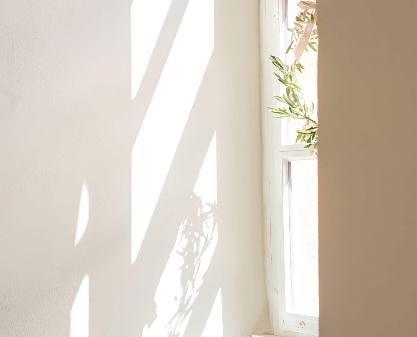 Sunlight and leafy plant shadows on a pale wall beside a window.