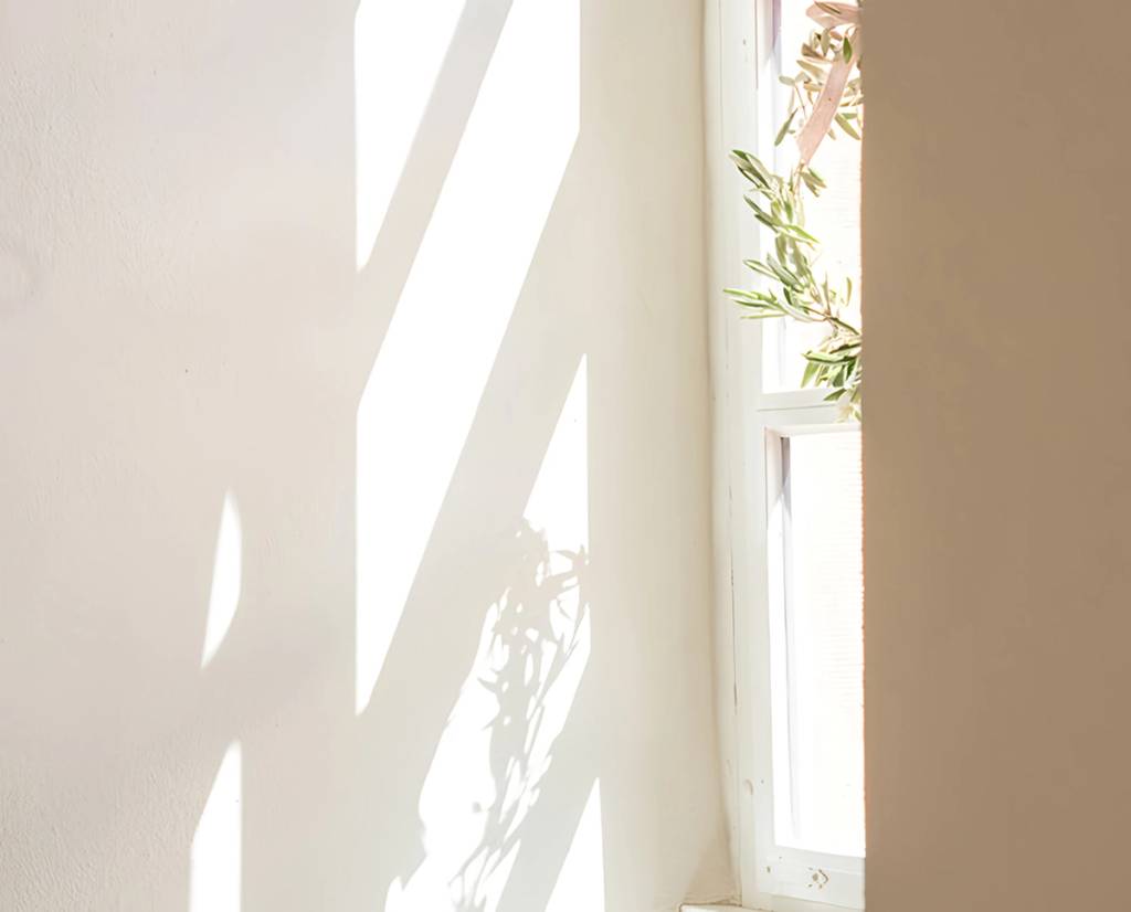 Sunlight and leafy plant shadows on a pale wall beside a window.