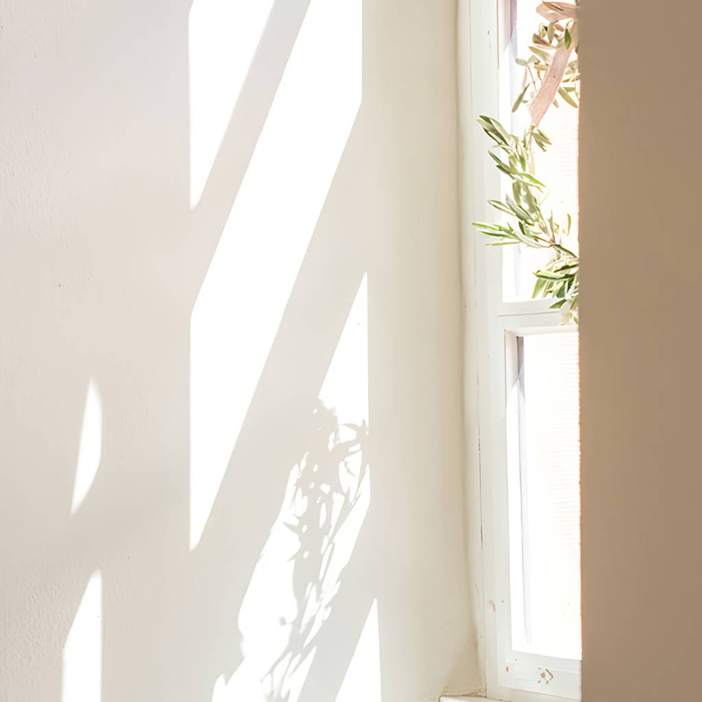 Sunlight and leafy plant shadows on a pale wall beside a window.