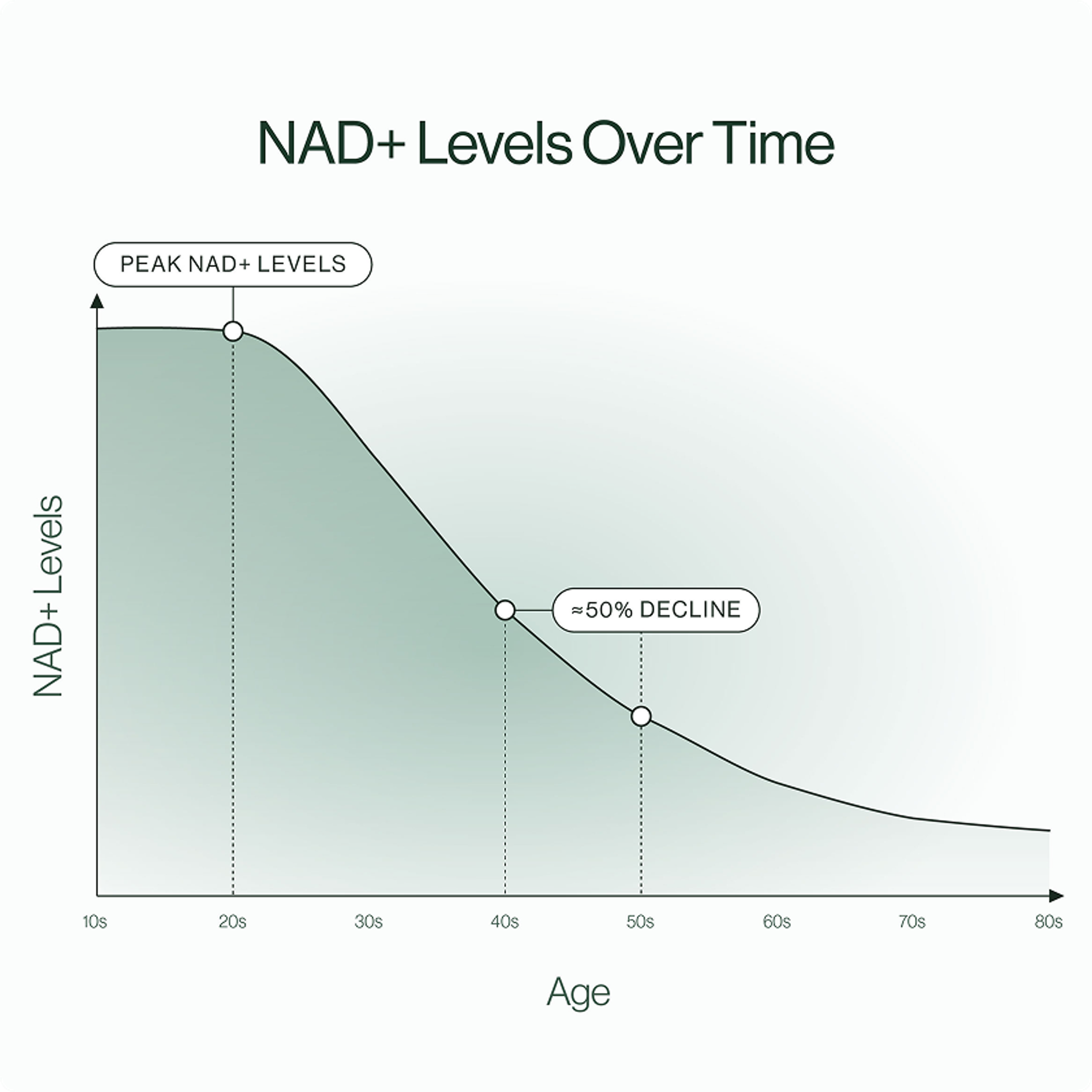 Line chart titled “NAD+ Levels Over Time,” showing levels declining with age after peaking at 20; the age-40 point is labeled “≈50% DECLINE.”
